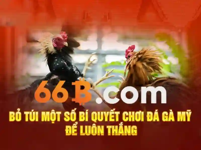  quản lý mật khẩu - 66B