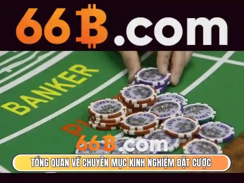 Cách Nhận Thưởng 66B Cực Chuẩn Từ Cao Thủ Bạn Nên Biết - 66B