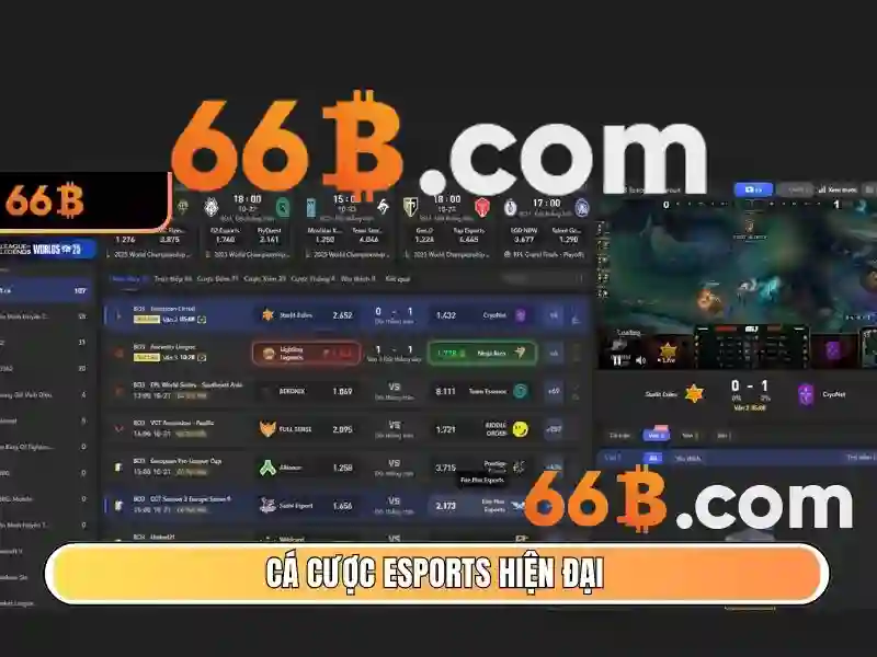 cá cược - 66B