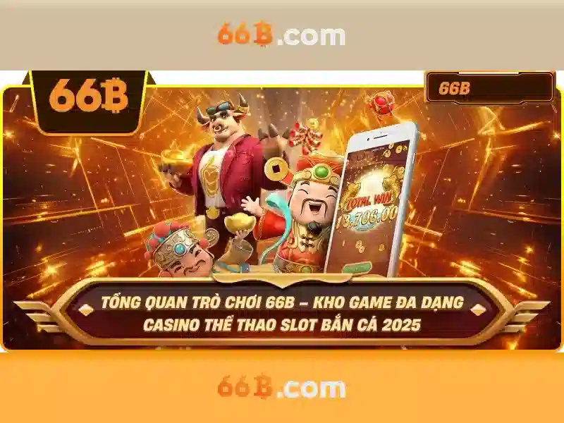  dịch vụ hỗ trợ 66B - 66B