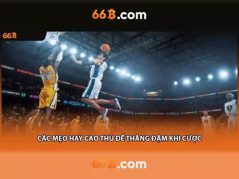  trả lời nhanh - 66B