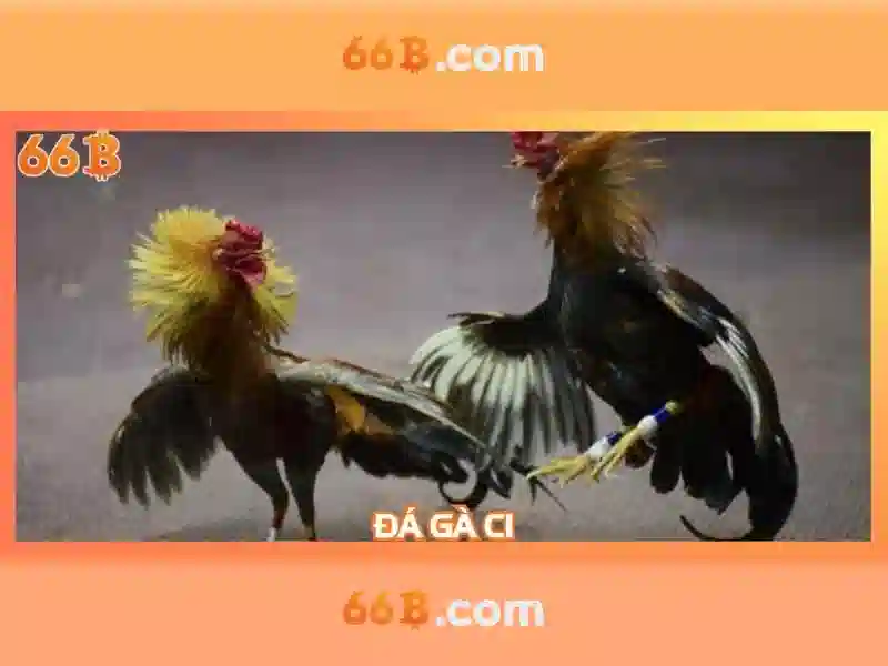  hướng dẫn đăng nhập 66B - 66B