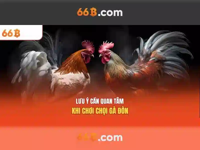 66b: Hướng dẫn tối ưu trang web cá cược trực tuyến – chuẩn SEO và E-E-A-T cho Google