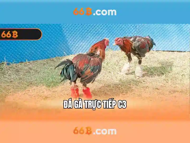  Slot 66B không bị chặn - 66B