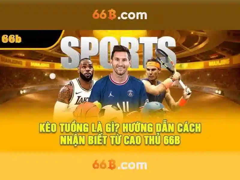 chơi cá cược - 66B