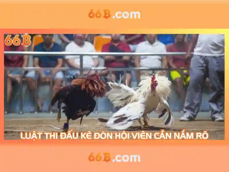 Lô Đề 66B – 5 Mẹo Chơi Siêu Đỉnh Để Trở Thành Cao Thủ - 66B