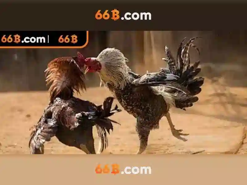 quy luật slot - 66B