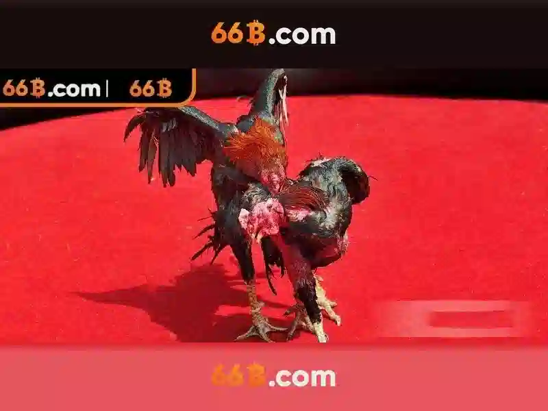 Vui Lòng Chờ... 66B - Giải Pháp Cho Người Quên Mật Khẩu - 66B