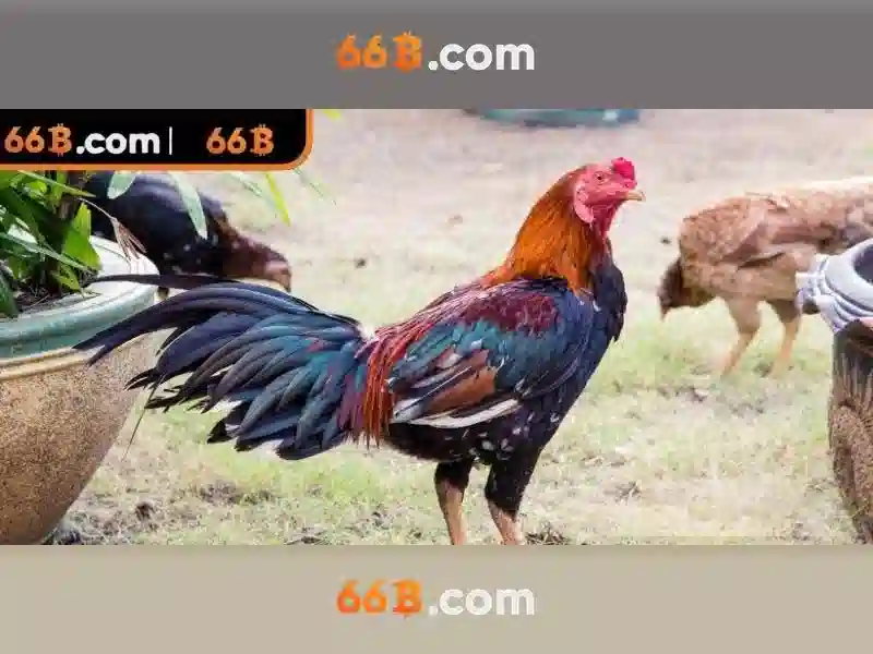 66B – Ứng Dụng Slot 66B Chính Thức, Trải Nghiệm Tối Ưu Cho Người Chơi Slot - 66B