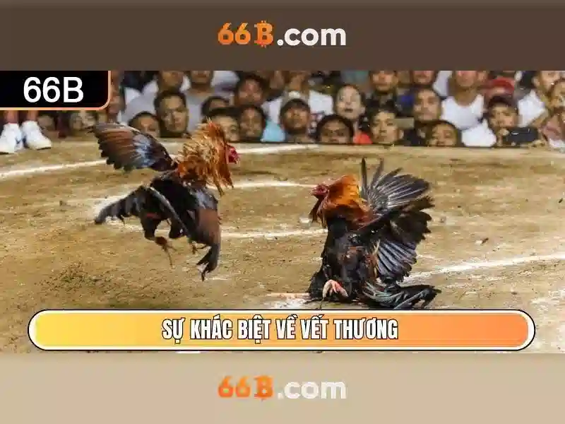  game slot - 66B