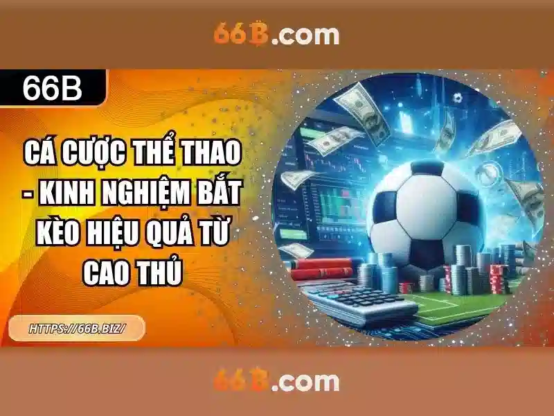  66b chính thống - 66B