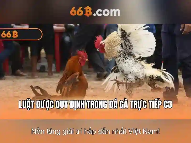  APK Slot - 66B