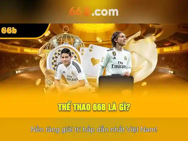 Liên Hệ 66B Nhanh Chóng Và Tiện Lợi Với Nhập Code 66b - 66B