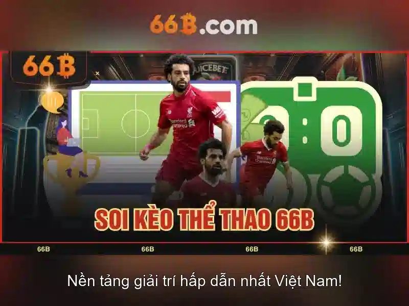  66B 2026 - 66B