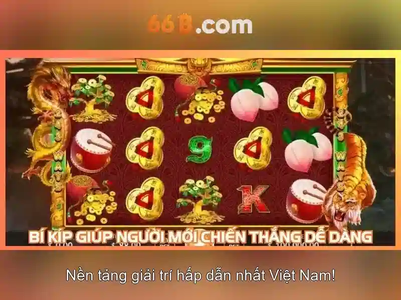  khuyến mãi 66B - 66B