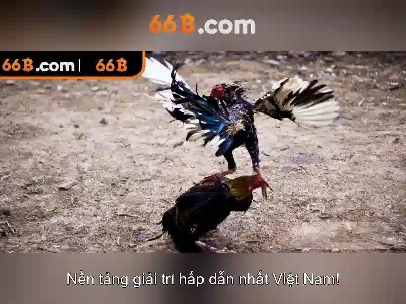  giải pháp 66b bị chặn - 66B