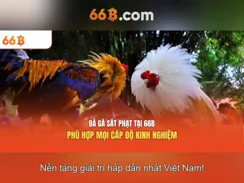 tra cứu thưởng - 66B