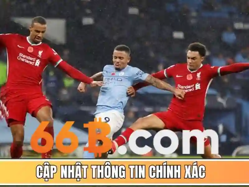 chính sách bảo mật - 66B