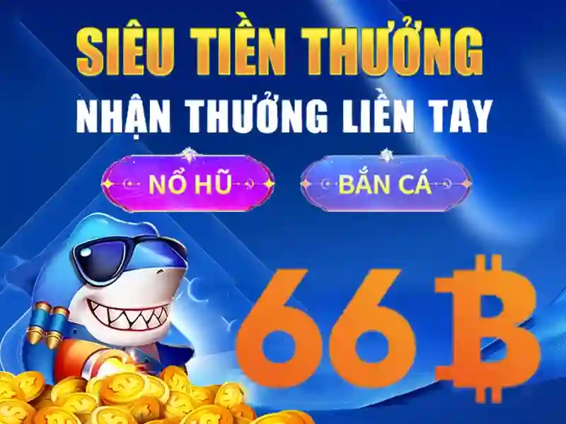  dịch vụ khách hàng 66b - 66B