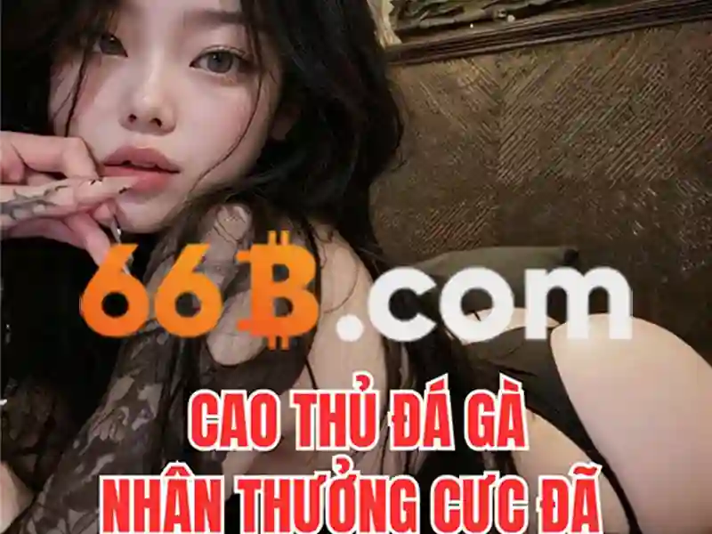 chơi bài 66b - 66B